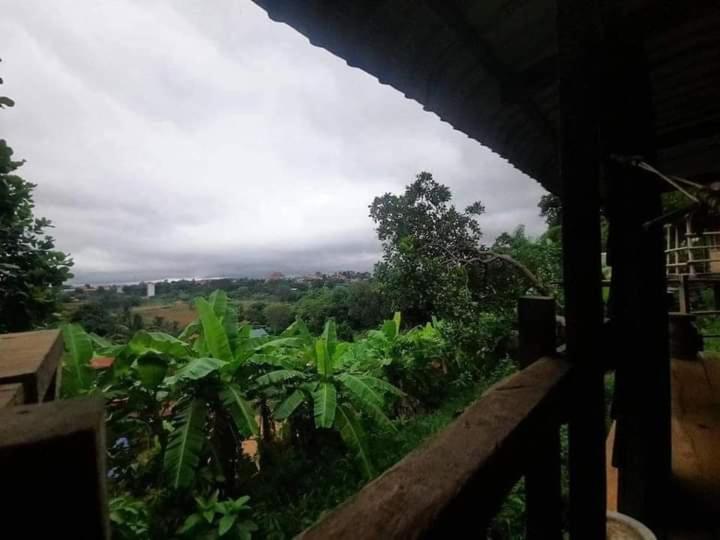 Tree Lodge Banlung エクステリア 写真