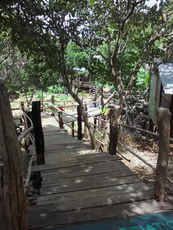 Tree Lodge Banlung エクステリア 写真