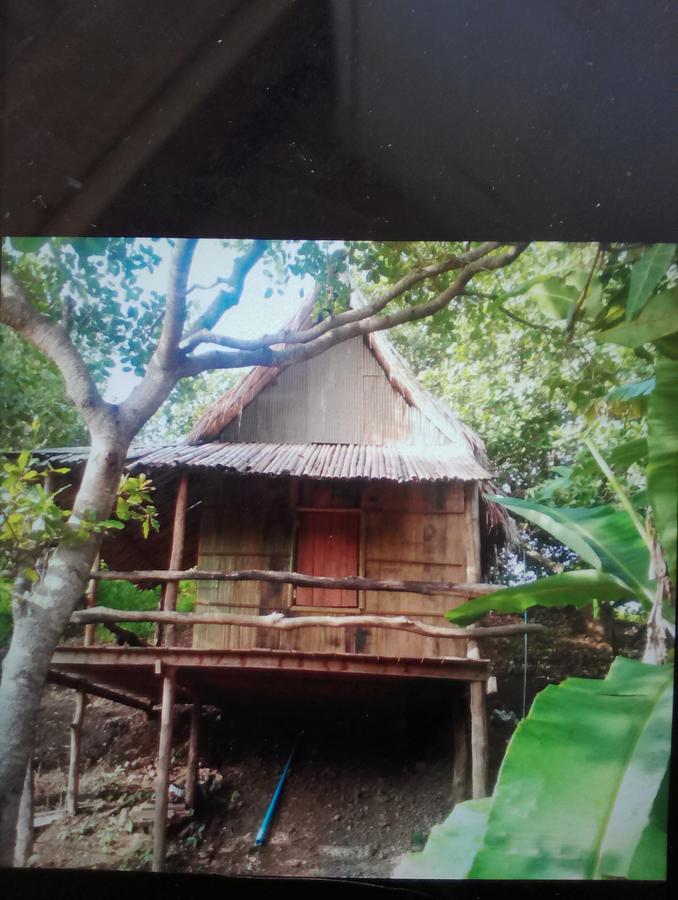 Tree Lodge Banlung エクステリア 写真