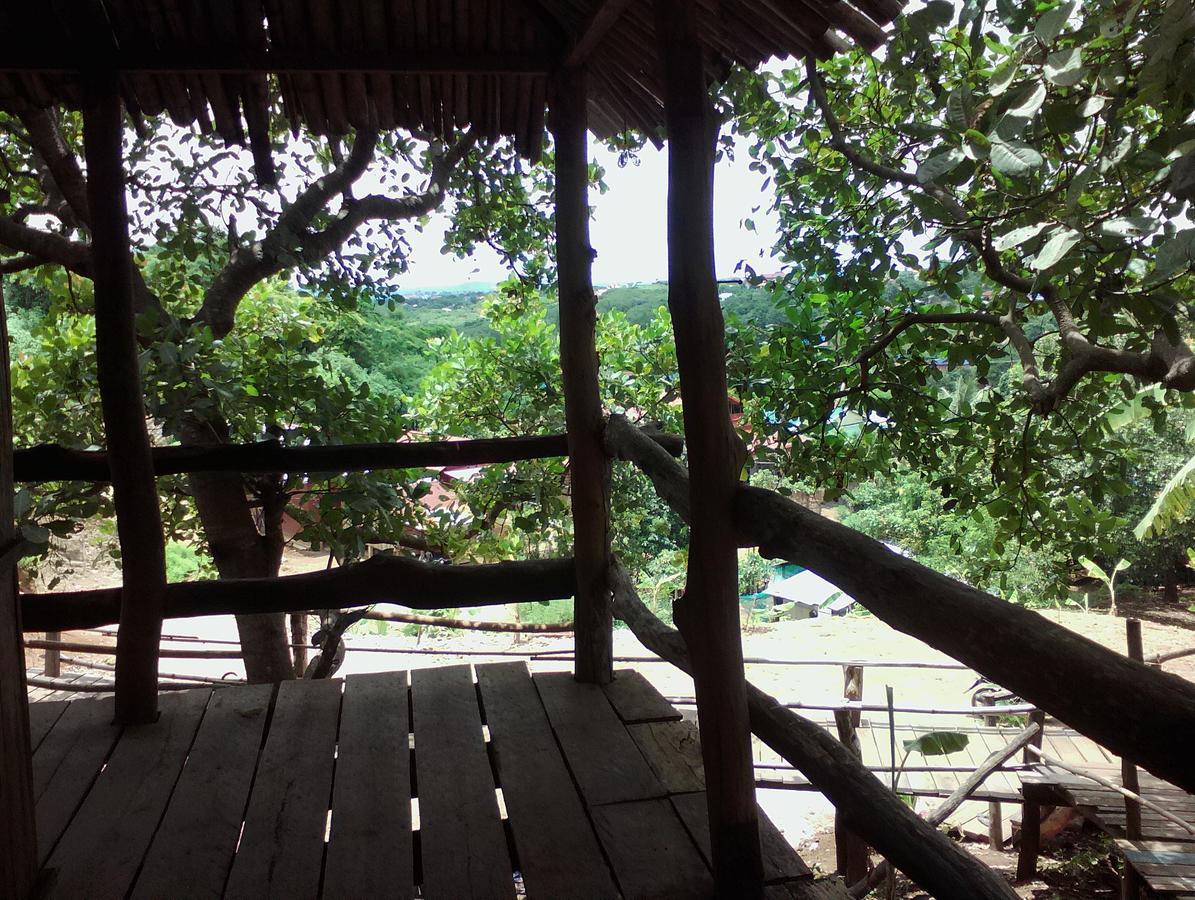 Tree Lodge Banlung エクステリア 写真