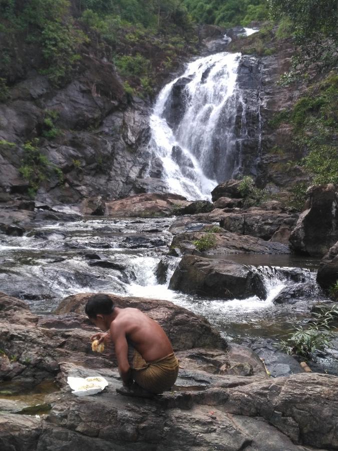 Tree Lodge Banlung エクステリア 写真