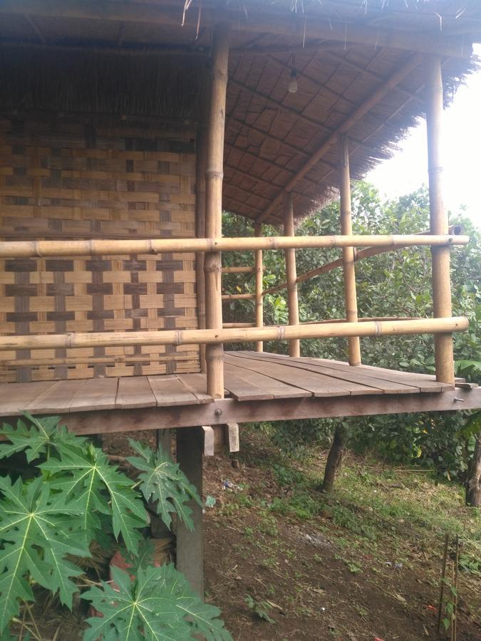 Tree Lodge Banlung エクステリア 写真