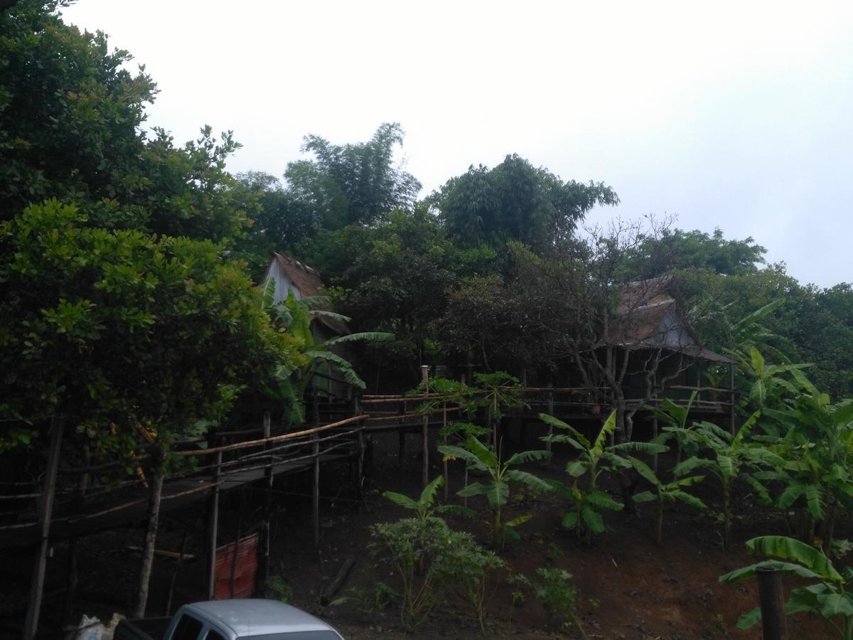 Tree Lodge Banlung エクステリア 写真