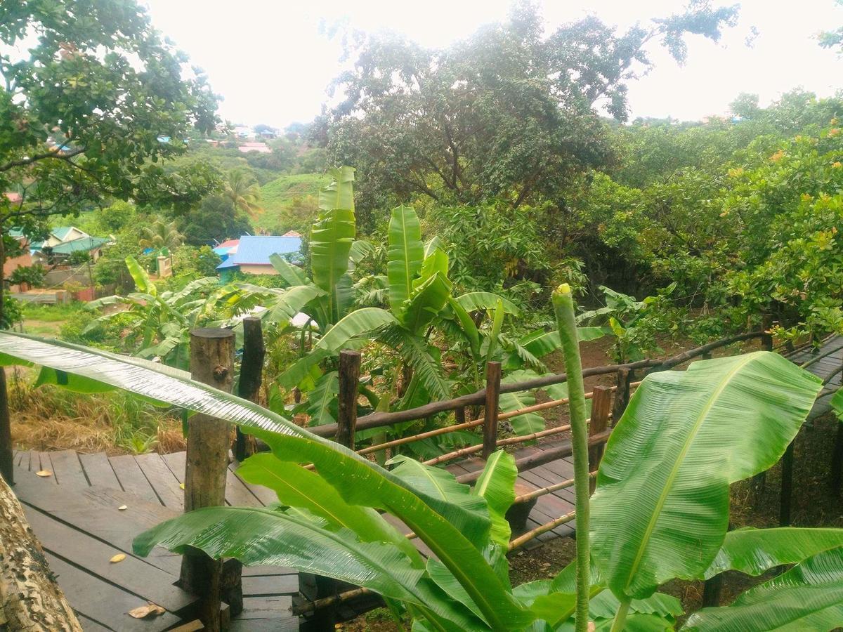 Tree Lodge Banlung エクステリア 写真