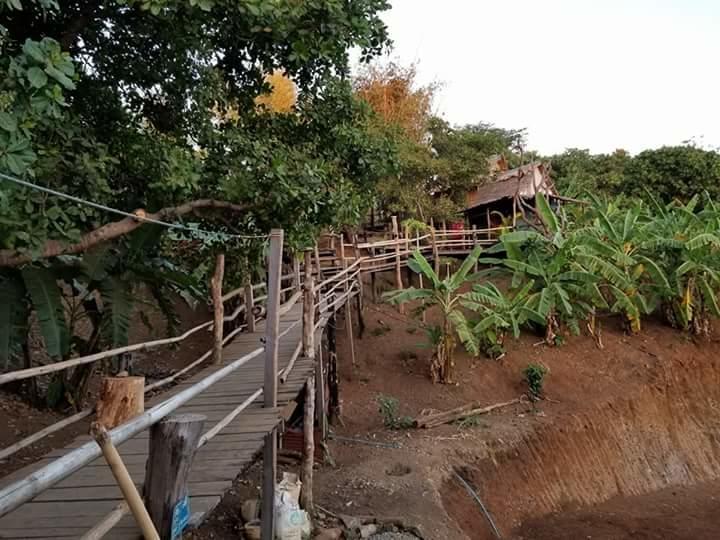 Tree Lodge Banlung エクステリア 写真